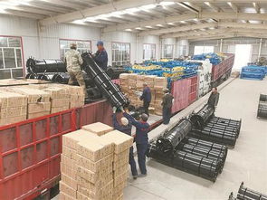 新疆生產(chǎn)建設(shè)兵團(tuán) 師市動(dòng)態(tài) 引得 鳳凰 繞新城