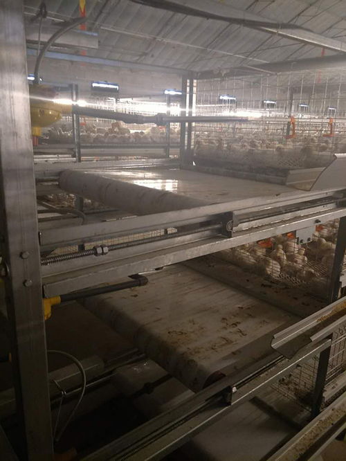 運盈機械生產廠家 圖 肉雞籠量尺定做 肉雞籠