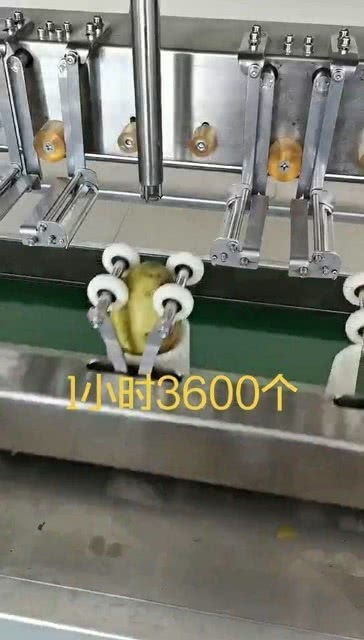 自動(dòng)化削皮神器 智能制造助力食品加工與助農(nóng)事業(yè)